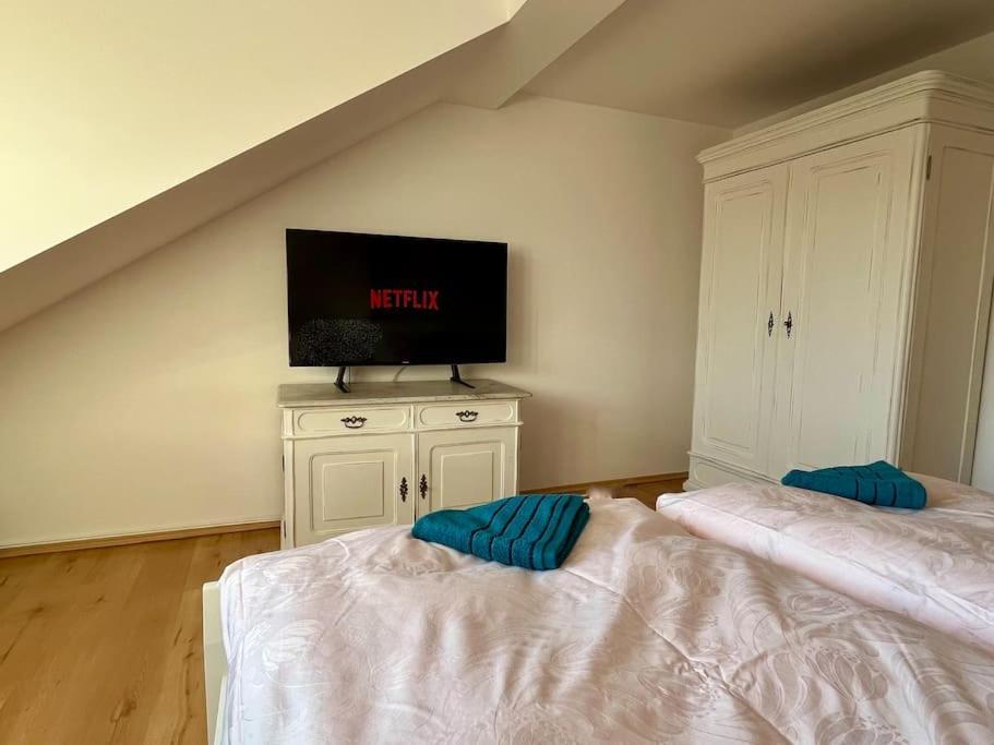 Apartament Apartman Terasa U Kolonady Podiebrady Zewnętrze zdjęcie