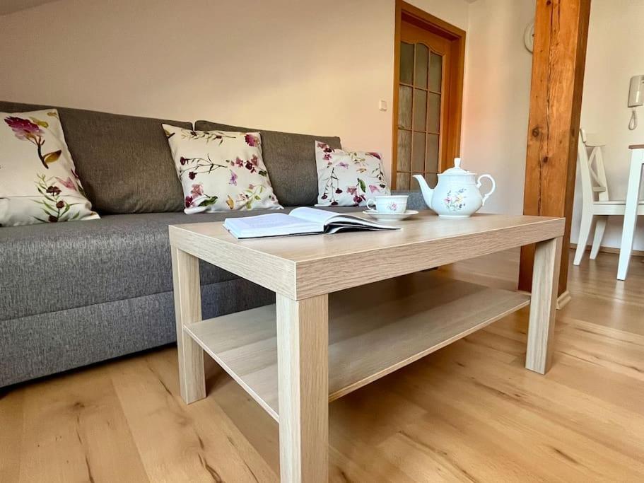 Apartament Apartman Terasa U Kolonady Podiebrady Zewnętrze zdjęcie