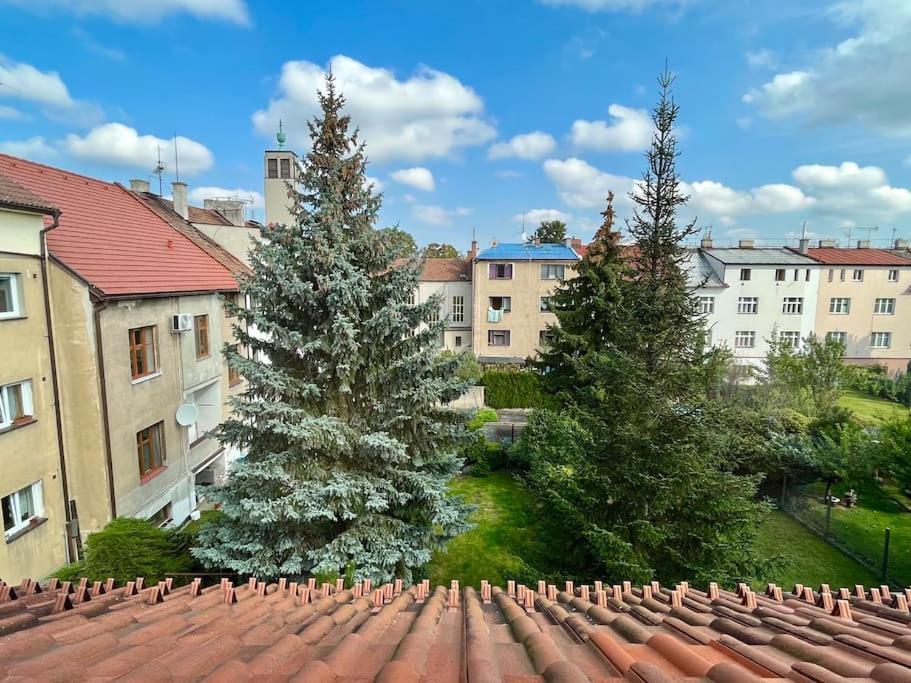 Apartament Apartman Terasa U Kolonady Podiebrady Zewnętrze zdjęcie