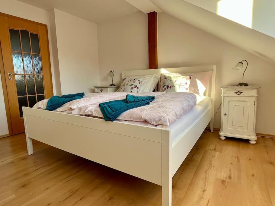Apartament Apartman Terasa U Kolonady Podiebrady Zewnętrze zdjęcie