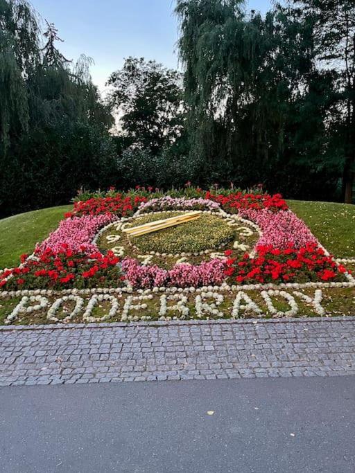 Apartament Apartman Terasa U Kolonady Podiebrady Zewnętrze zdjęcie